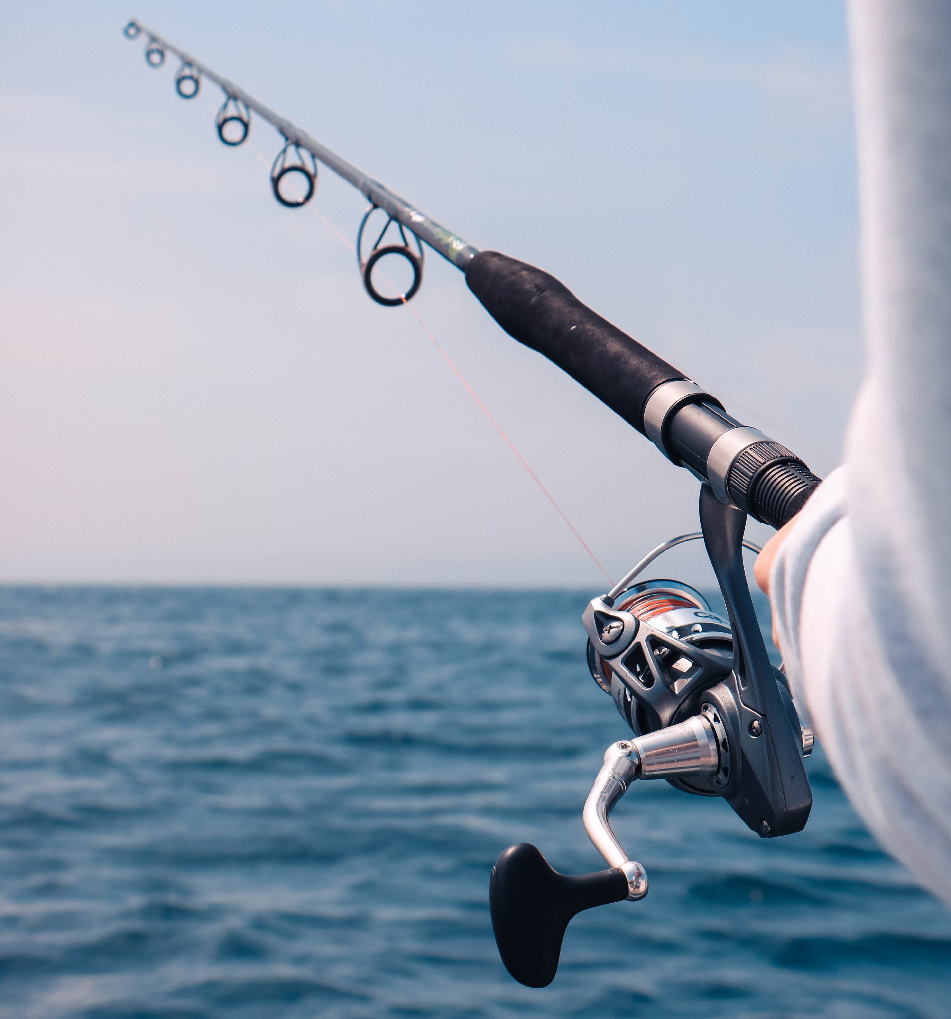 Fishing Rod | Mathieu Le Roux on Unsplash